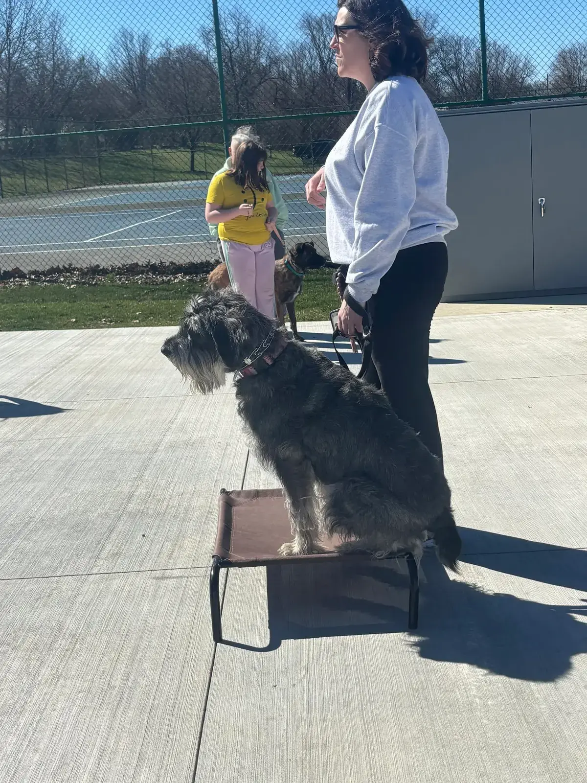 An owner working with their dog during a training session
