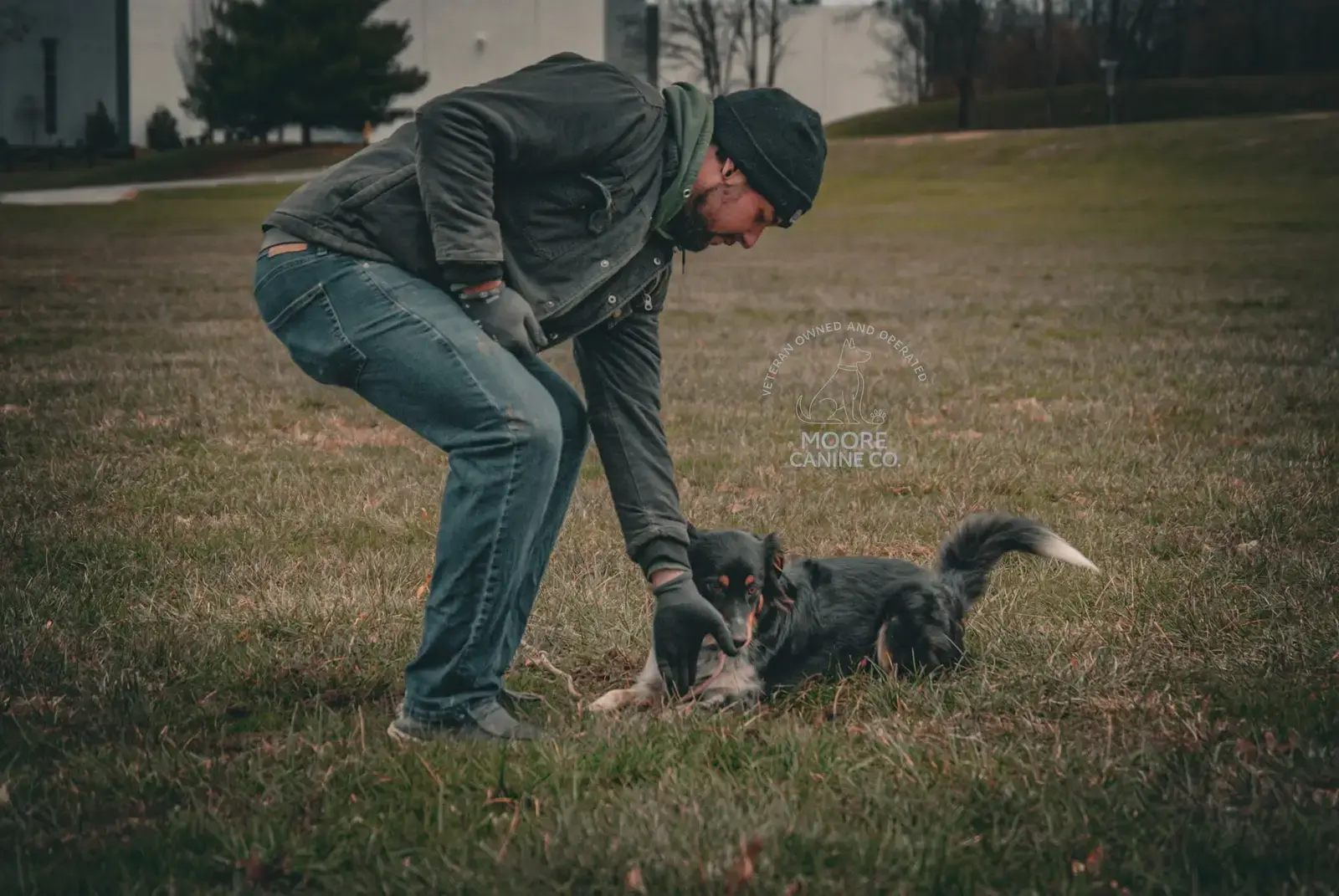 Nate gently working with an Australian Shepherd puppy in a field