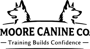 Design 121
