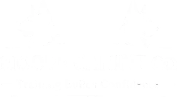 Design 91